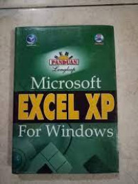 Image of Microsoft Excel XP for Windows