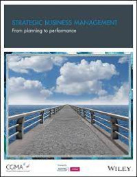 Image of Strategic Business Management: From Planning to Performance